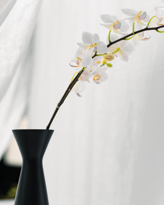 木の宴-木のとっくり