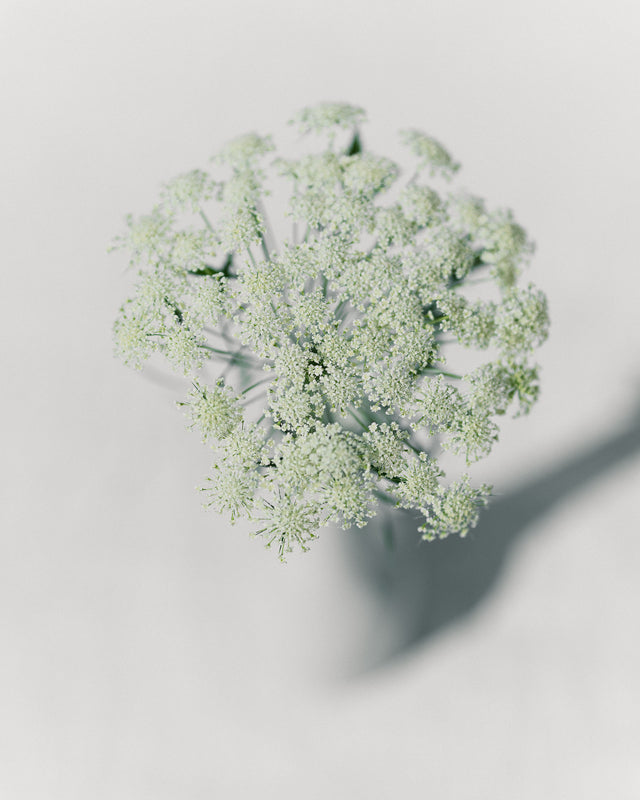 淡いブルーグレーの花器